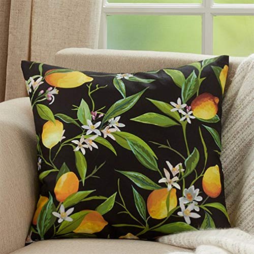 Fennco Styles Lemons Decorative Throw Pillow 18" W x 18" L - Black Square Cushion for Indoor & Outdoor Décor, Couch, Backyard Patio, Lawn & Garden