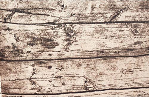 Fennco Styles Country Wood Grain Design Cotton Tablecloth - Natural Table Cover for Everyday Use, Banquets, Holiday Gathering and Outdoor Events