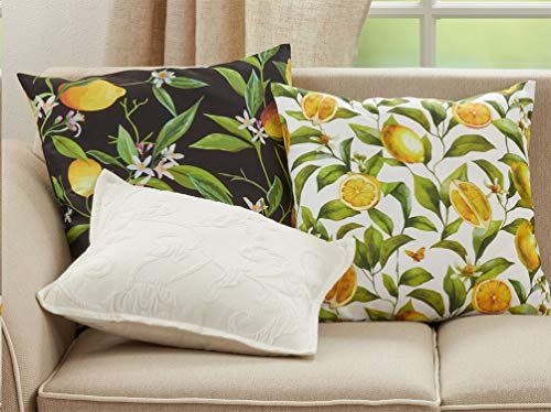Fennco Styles Lemons Decorative Throw Pillow 18" W x 18" L - Black Square Cushion for Indoor & Outdoor Décor, Couch, Backyard Patio, Lawn & Garden