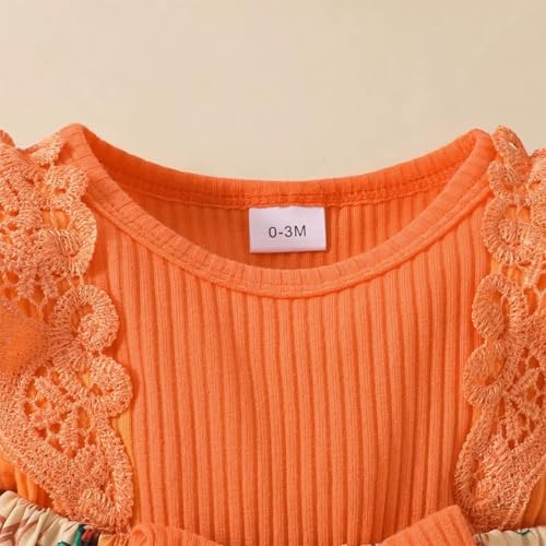 stylesilove Infant Baby Girl Orange Pumpkin Long Sleeve Lace Romper Dress & Bow Headband 2pcs Halloween Clothing Set