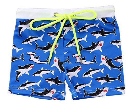 BC0506.BL.Shark120_02