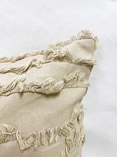 Fennco Styles Modern Fringe Stripe Cotton Decorative Throw Pillow Cover 17" W x 17" L - Cotton Cushion Case for Home, Farmhouse, Couch, Living Room, Bedroom and Office Décor