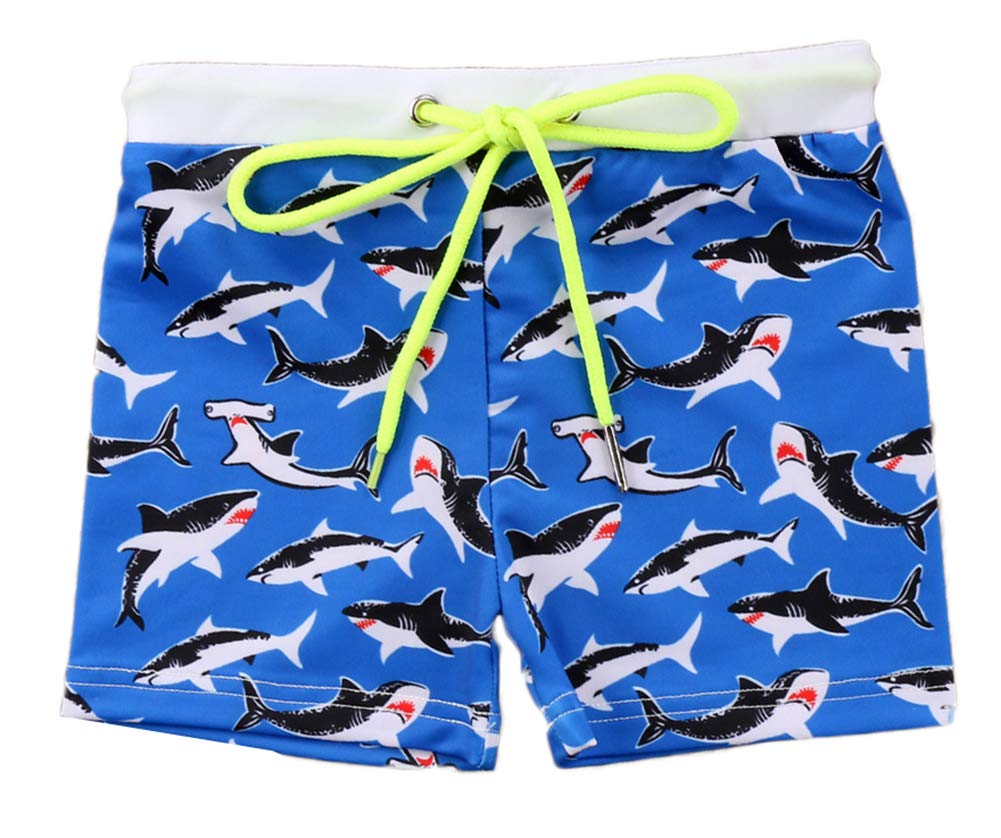 BC0506.BL.Shark100