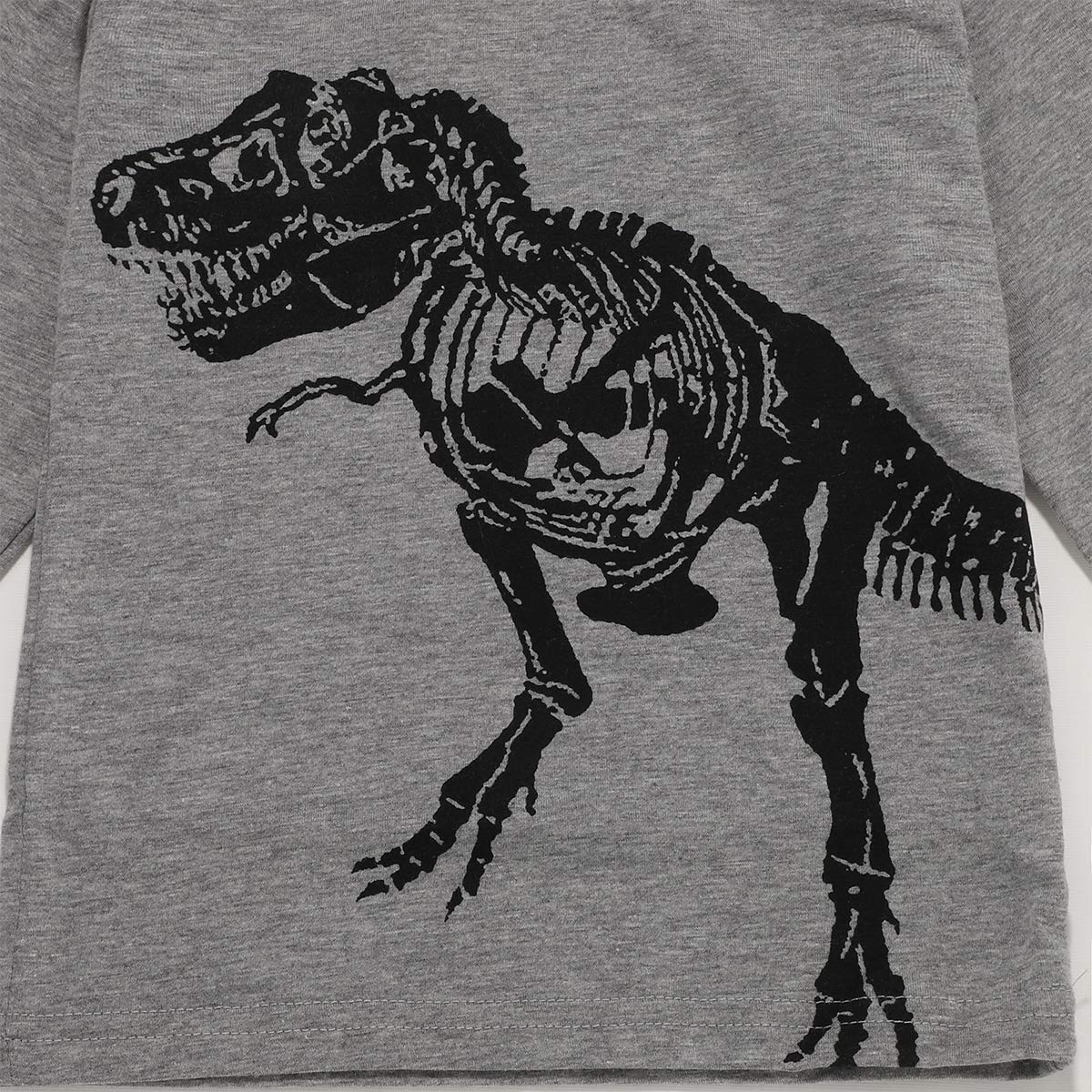 Styles I Love Baby Boys Grey Dinosaur T-Shirt and Stripe Pants 2pcs Long Sleeve Cotton Outfit