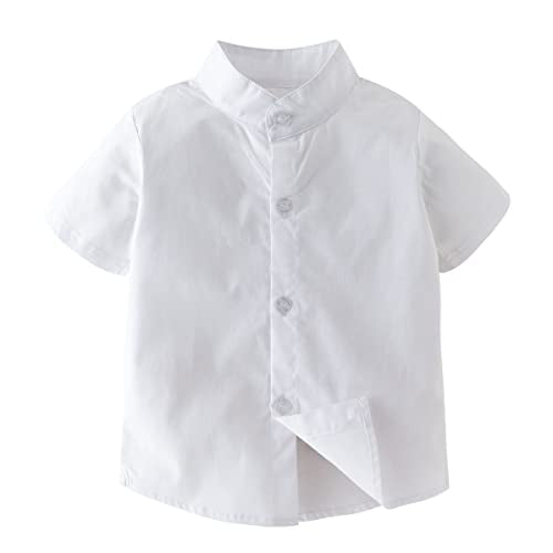 BC0635.W80