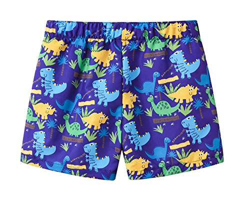 Styles I Love Little Boys Dinosaur Print Blue Swim Shorts Bathing Suit Beach Pool Boy Swim Trunks