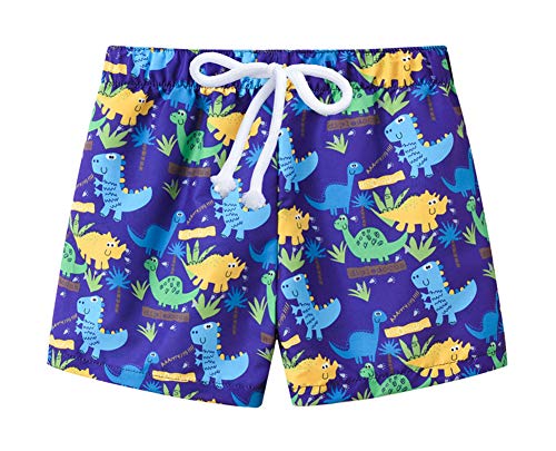 Styles I Love Little Boys Dinosaur Print Blue Swim Shorts Bathing Suit Beach Pool Boy Swim Trunks