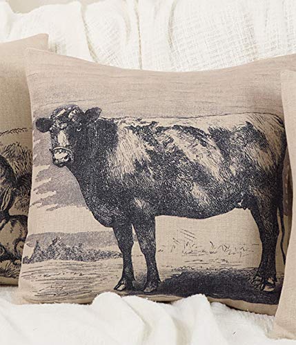 Fennco Styles Country Farmhouse Decorative Down-Filled Throw Pillow 18-Inch Square - Natural Cushion for Home, Couch, Living Room, Office and Bedroom Decor