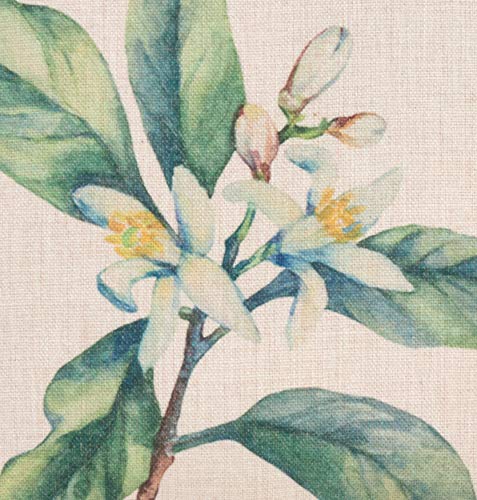 Fennco Styles Floriculture Collection Heritage Citrus Flower Botanical Print 18 x 18 Inch Throw Pillow with Case & Insert – Natural Accent Pillow for Couch, Bedroom and Living Room Décor
