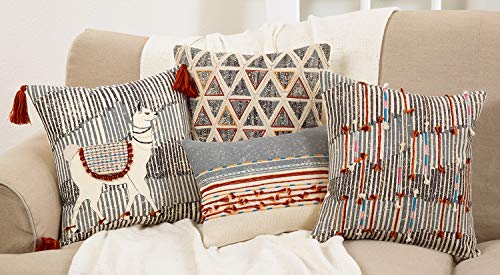 Fennco Styles Lima Collection Bohemian Variety Design 100% Pure Cotton 18 x 18 Inch Throw Pillows with Case & Insert – Multicolor Pillows for Couch, Bedroom and Living Room Décor