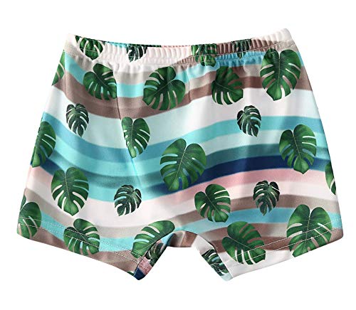 Styles I Love Baby Toddler Boys Tropical Print Swim Shorts Bathing Suit Beach Pool Boy Swim Trunks