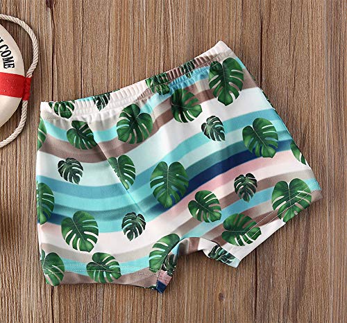 Styles I Love Baby Toddler Boys Tropical Print Swim Shorts Bathing Suit Beach Pool Boy Swim Trunks