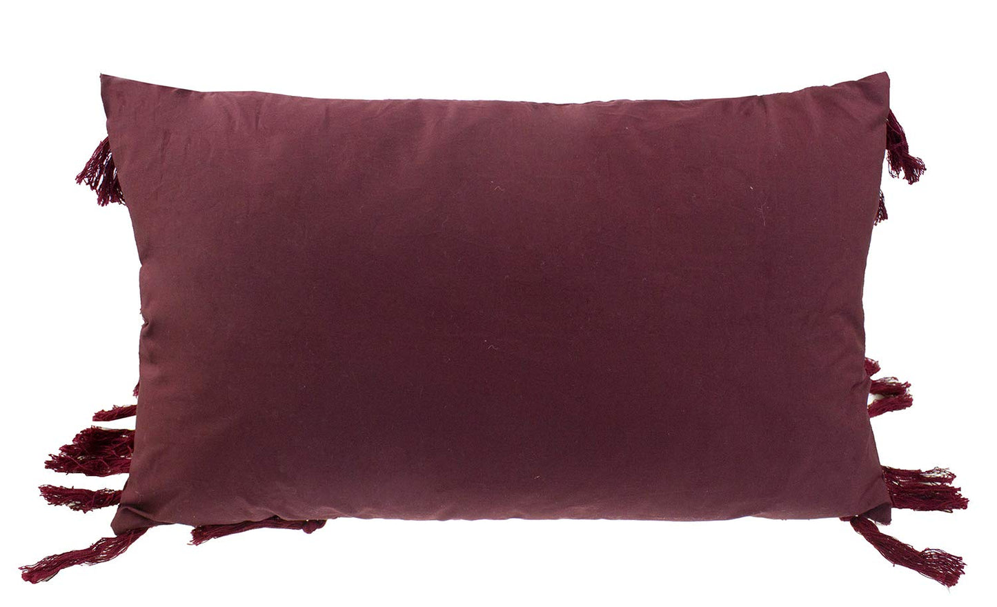 Fennco Styles Stylish Fringe Tassels Decorative Cotton Throw Pillow