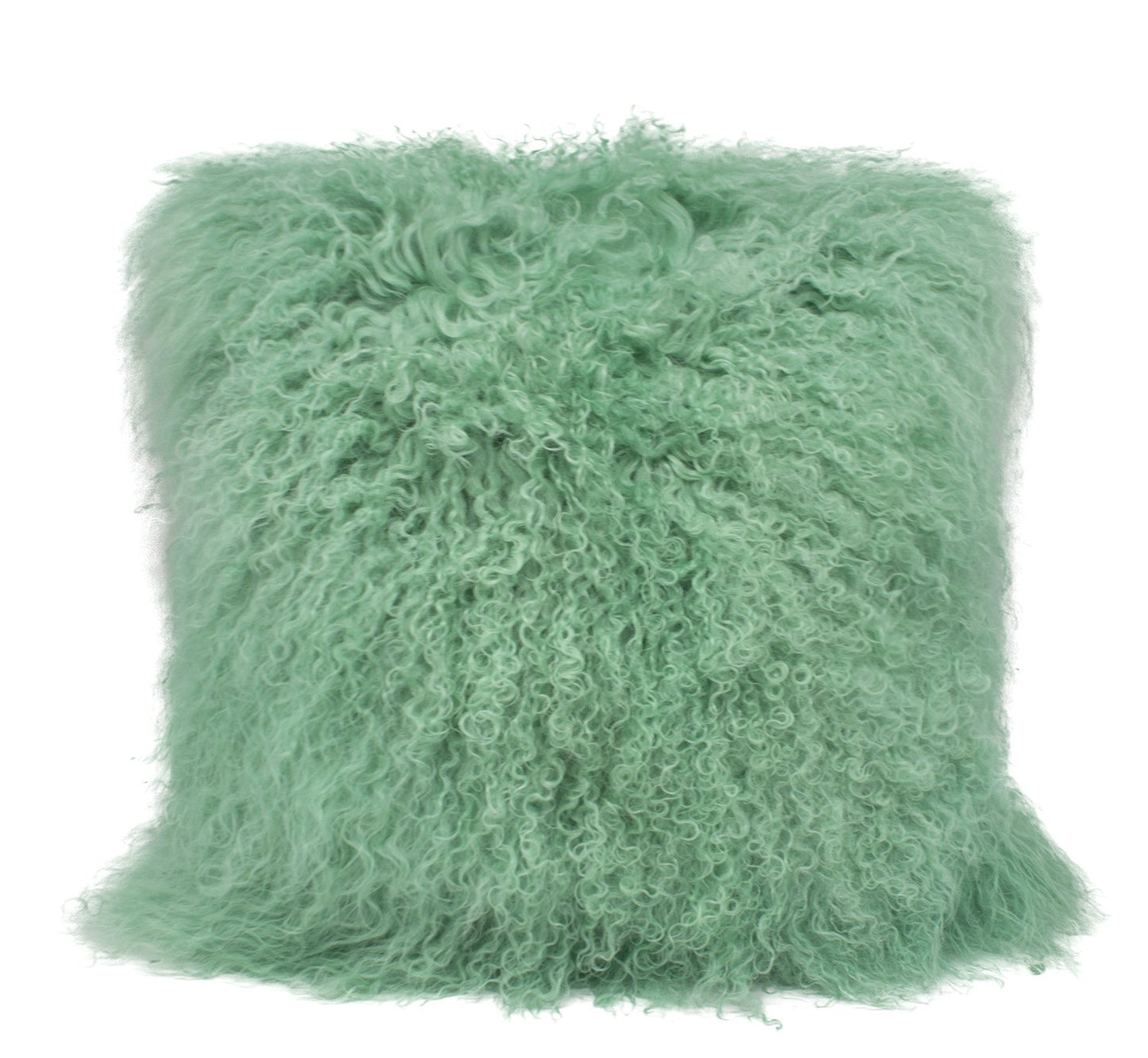 Fennco Styles Geniune Mongolian Lamb Fur Throw Pillow (Mint, 20"x20" Pillow)